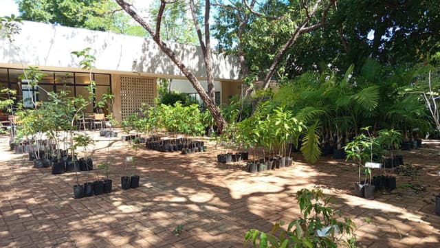 entornos_estrategicos